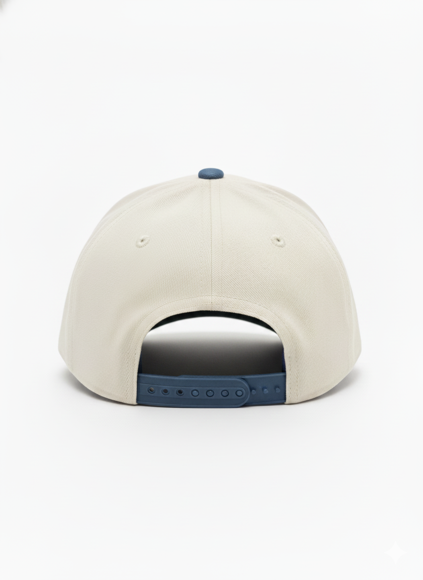 Costal Season Vintage Baseball Cap - Seagull edition